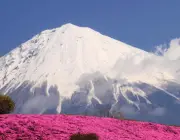 Vulcão Monte Fuji 3
