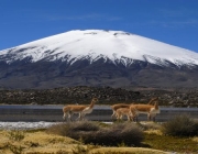 Vulcão Parinacota 1