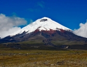 Vn. Cotopaxi