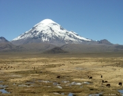 Vulcão Sajama Nevado 1