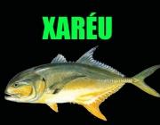 Xaréu 5