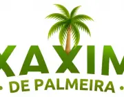 Xaxim de Palmeira 3