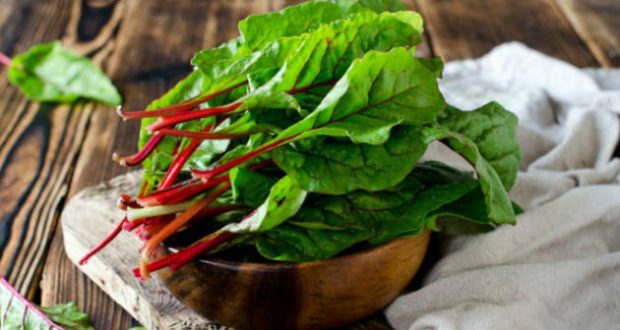 Acelga fresca lavada pronta para o preparo da salada