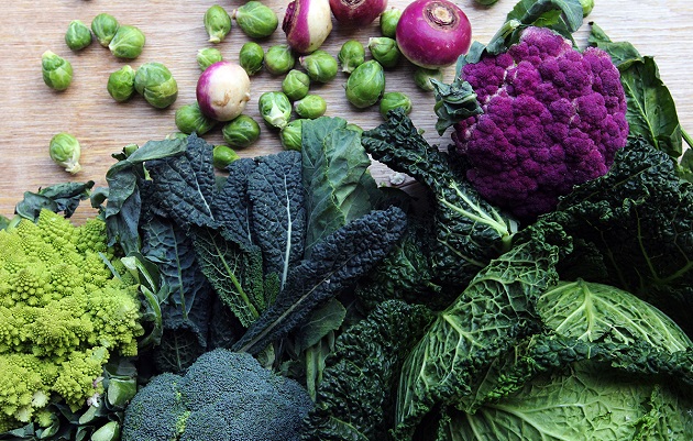 Brassicaceae Hortaliças