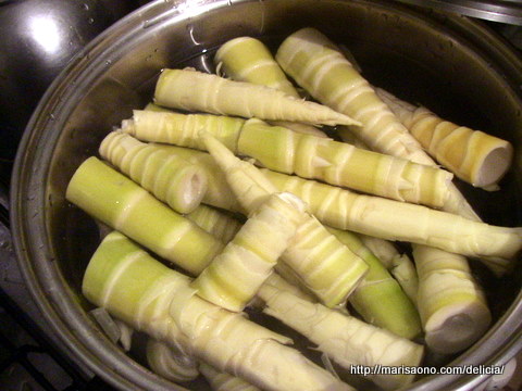 Broto de Bambu