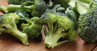 Brócolis é Um Tesouro Nutricional