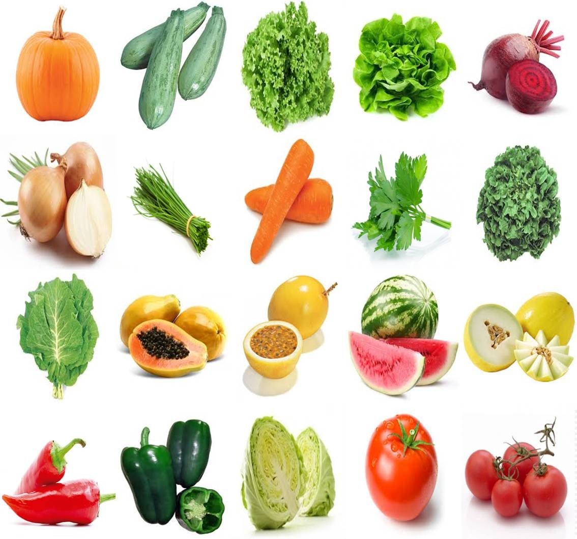 Tipos de Frutos Biologia