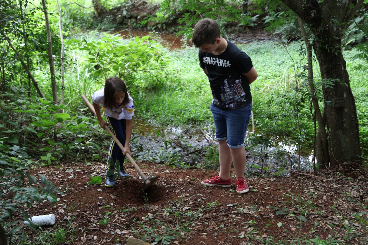 Crianças Plantando Semente de Couve-Flor 
