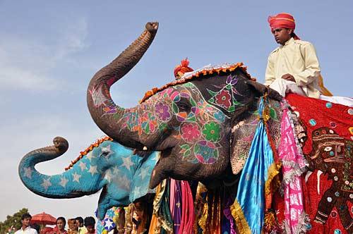 Elefante Indiano no Festival de Japur 