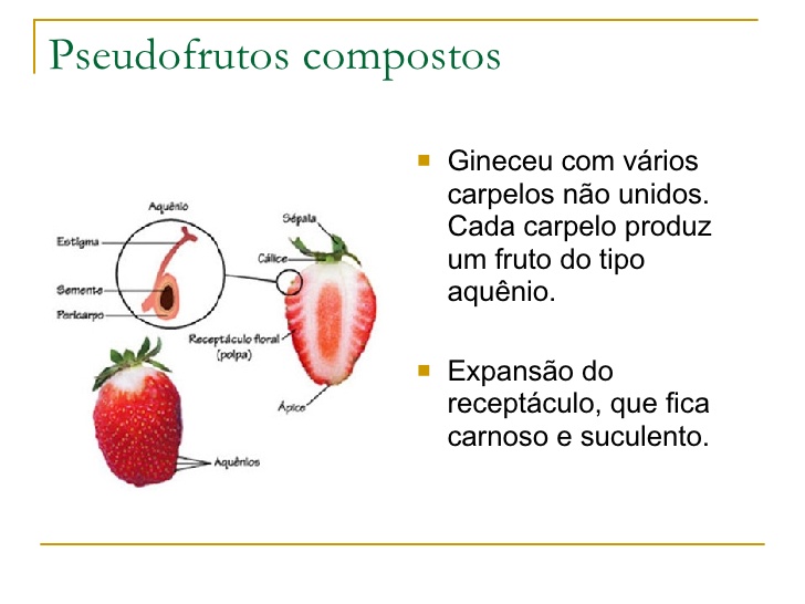 Entenda Como Funciona o Pseudofrutos Compostos