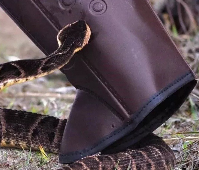 Equipamento de Proteção Contra Cobras