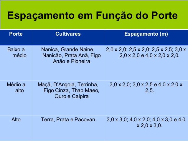 Tabela de Espaçamento Para Plantio da Banana