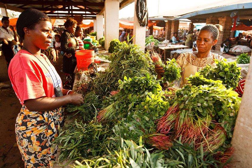 O Sistema Alimentar na África
