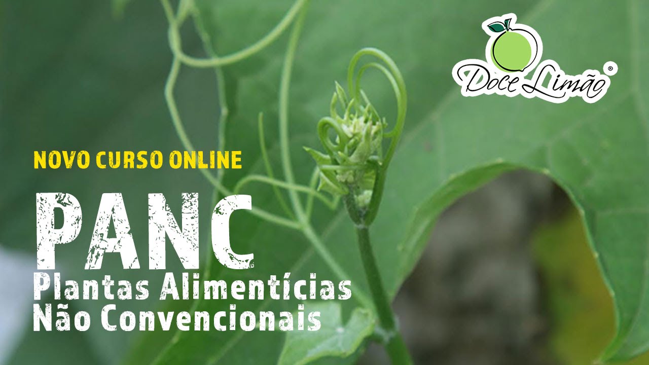 Plantas Alimentícias Não Convencionais