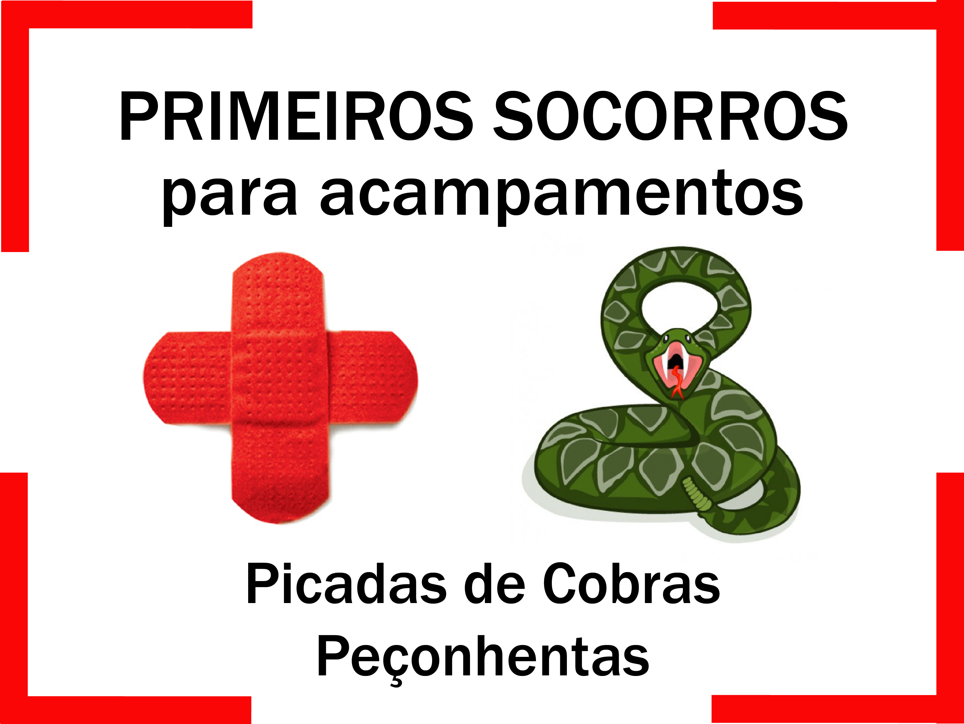 Primeiros Socorros Para Picadas de Cobras Peçonhentas 