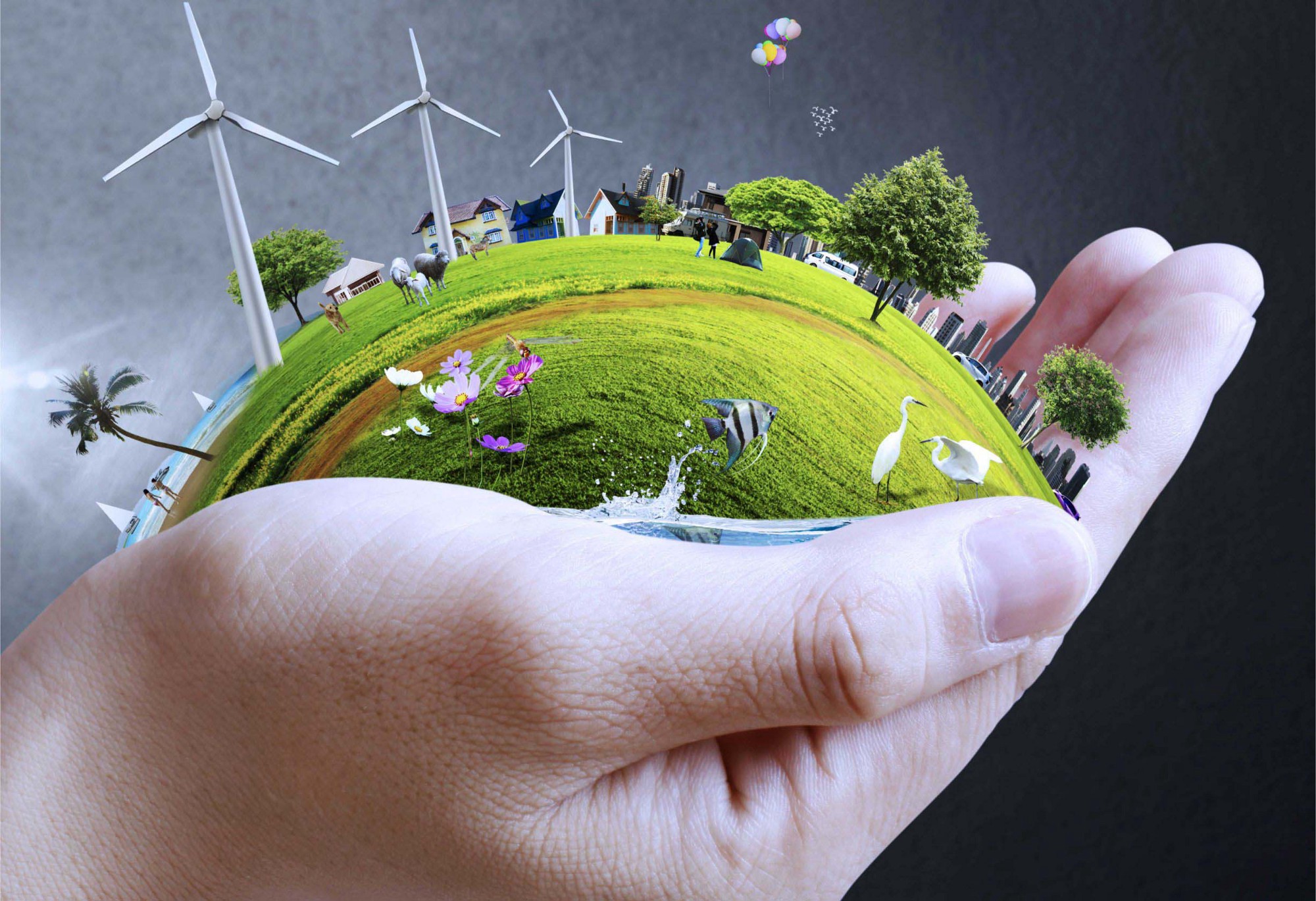 Saiba mais Sobre Ecologia!