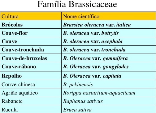 Tabela da Família Brassicaceae