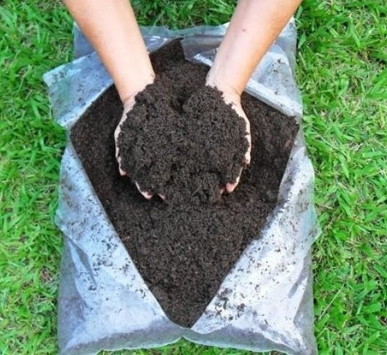 Terra Preta Para Plantio 
