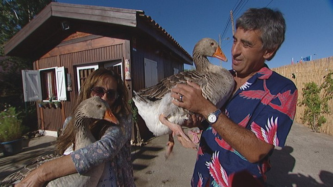 Foto de Casal com Seus Gansos de Estimação