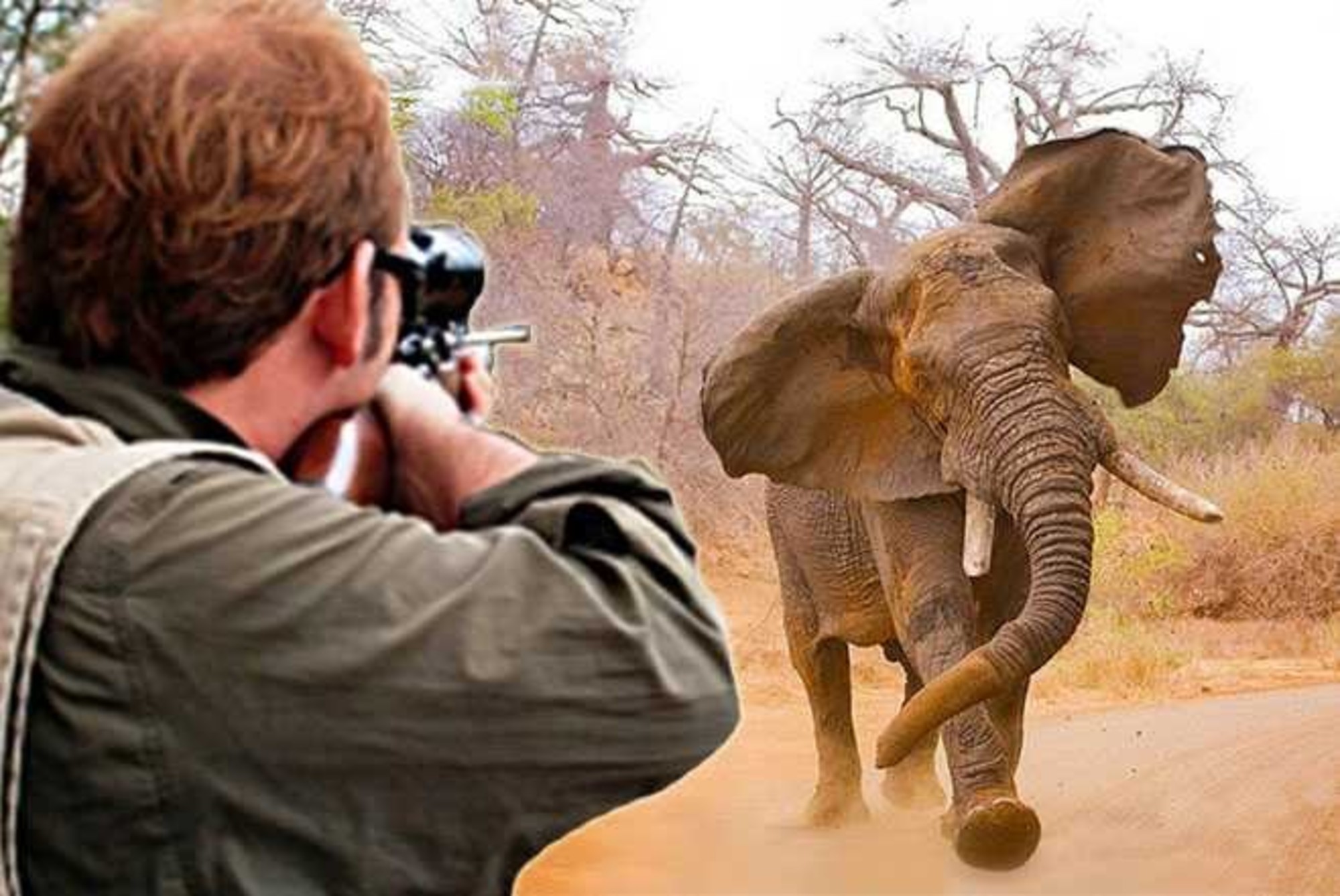 Caçador de Elefante