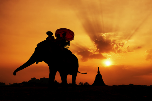 Um Passeio Turístico Com Um Elefante Asiático Pela Tailândia