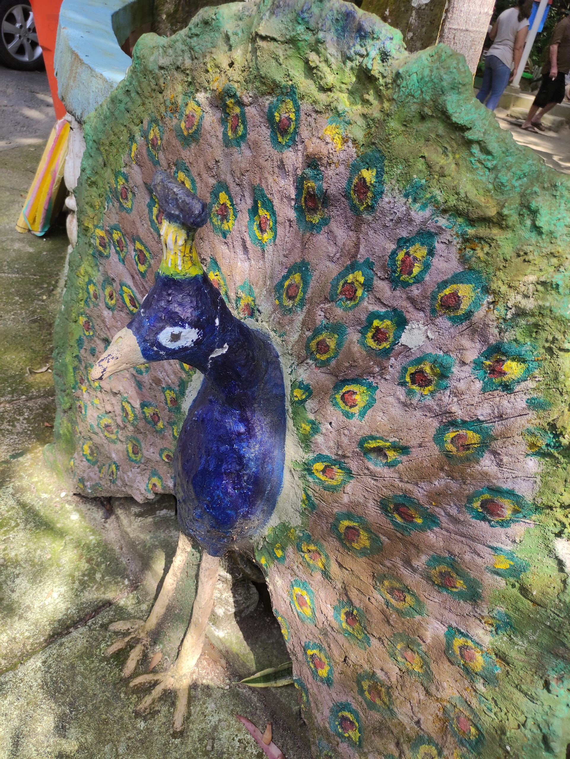 Pavão-do-Congo