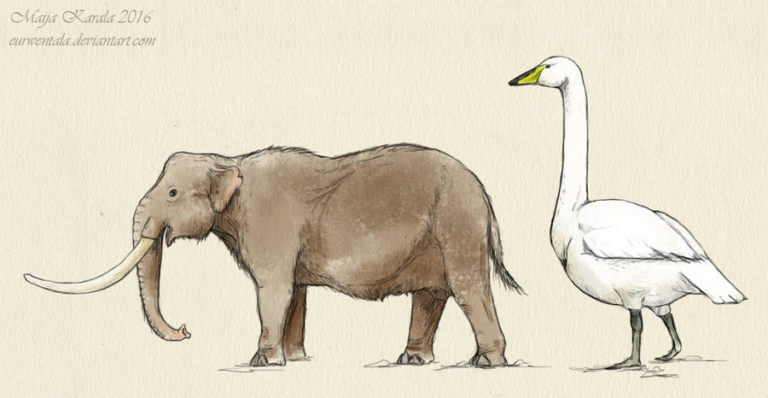 Espécie Palaeoloxodon Falconeri
