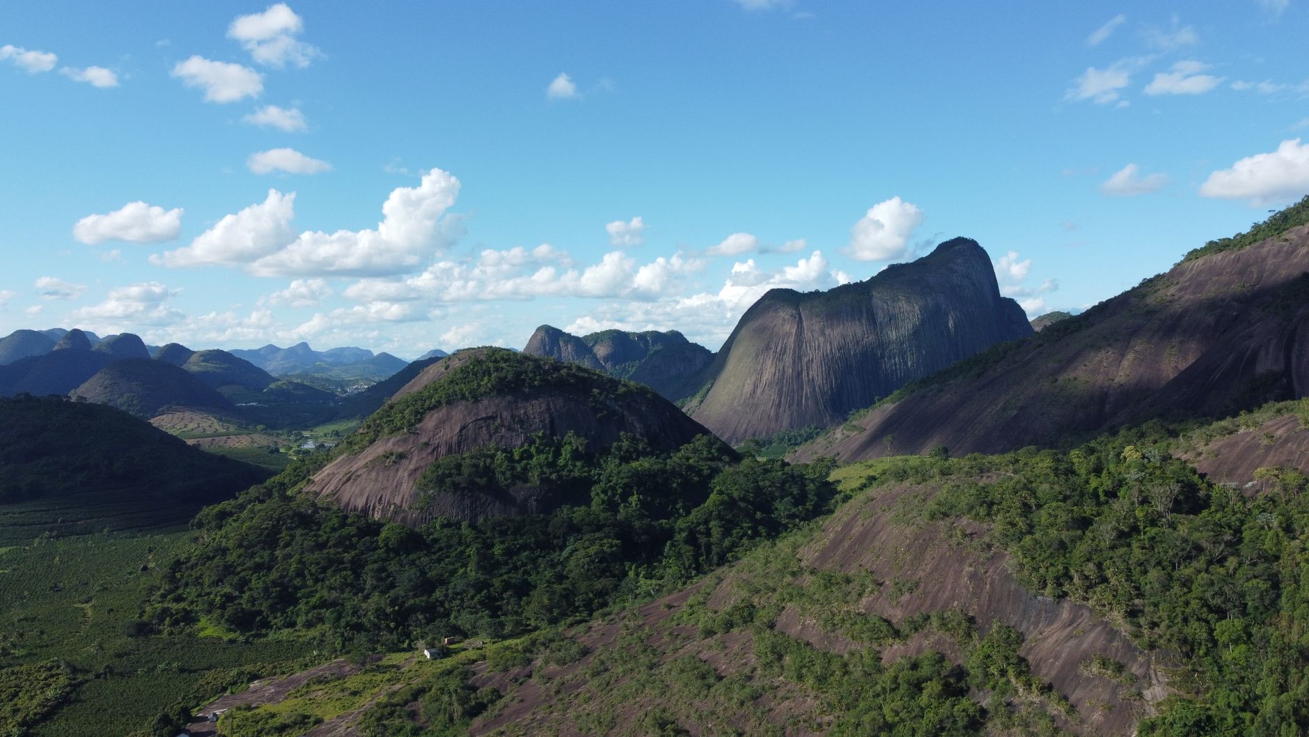 Visão da Águia de Cabeça Branca
