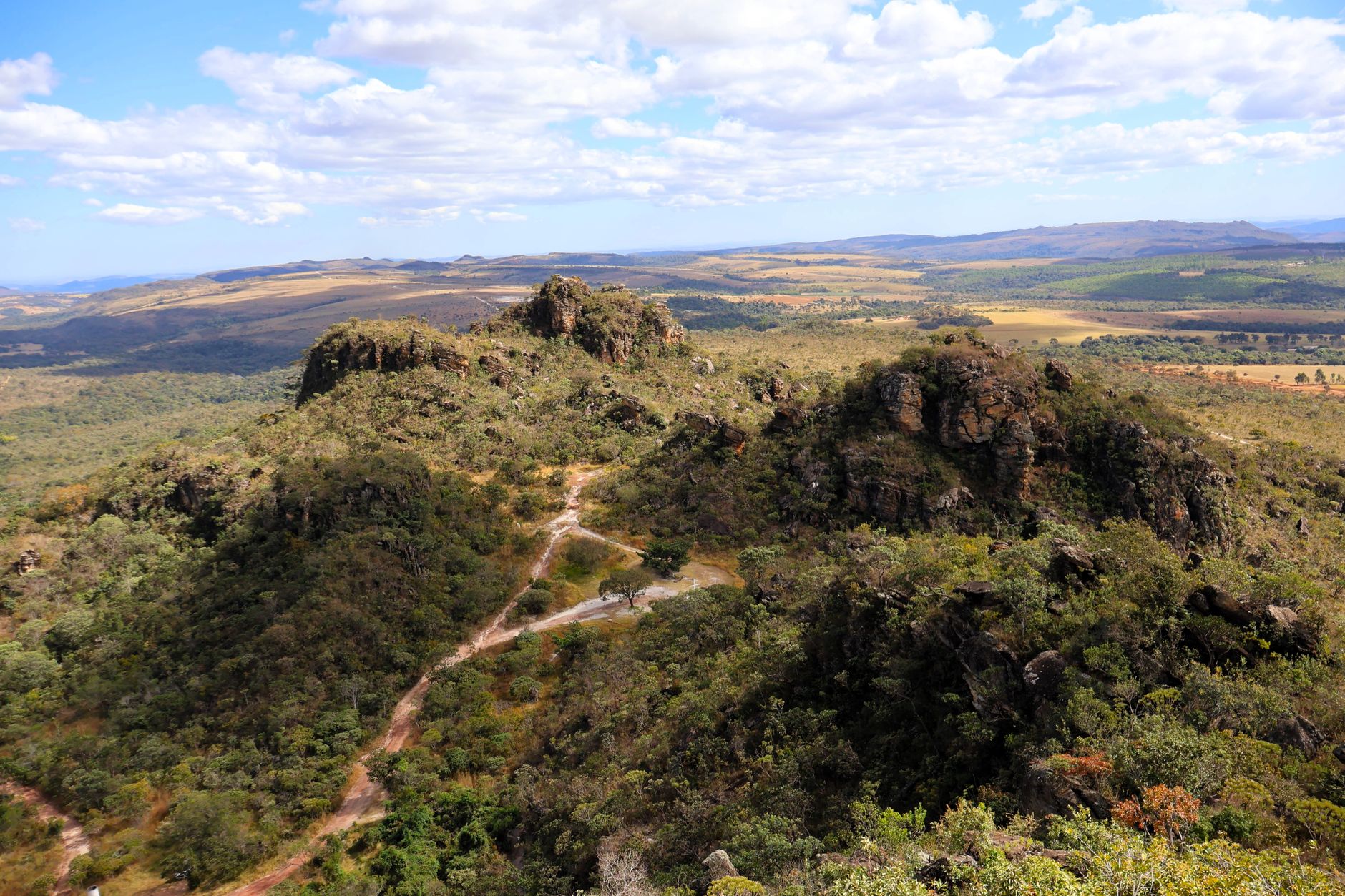 Veneno da Cobra Surucucu-Pico-de-Jaca