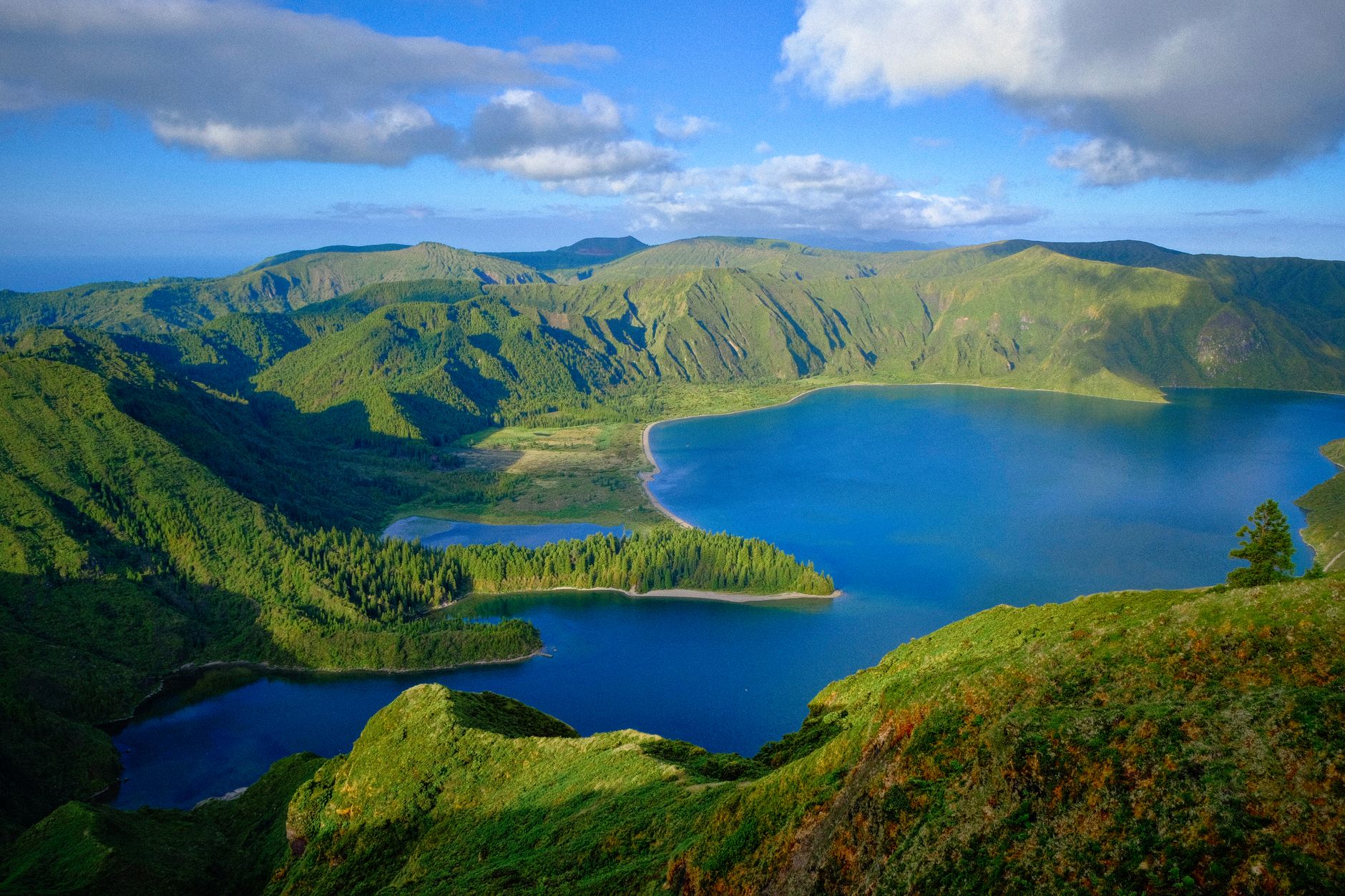 Tipos de Erupção