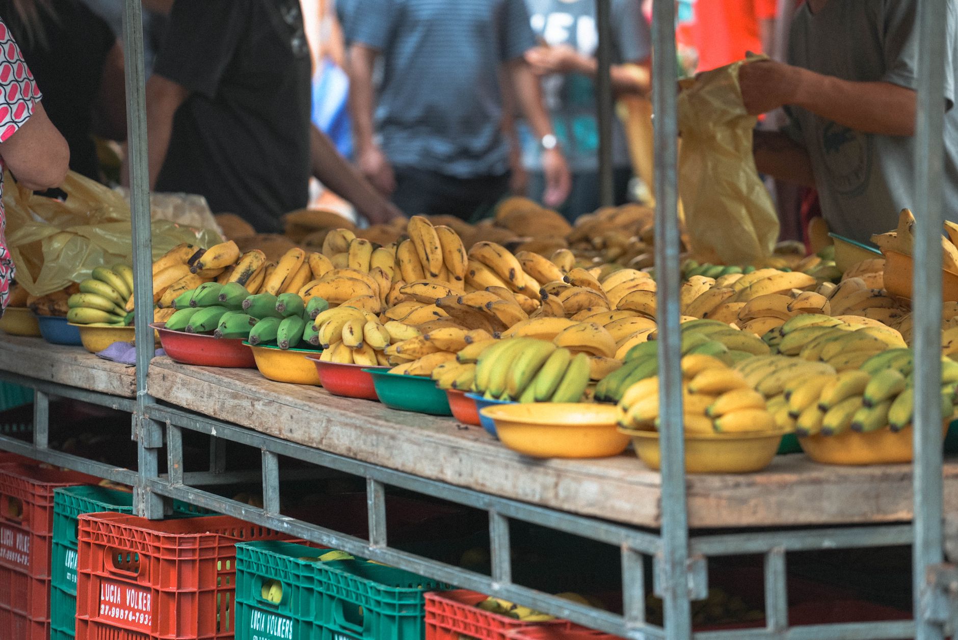 Várias Bananas Maduras