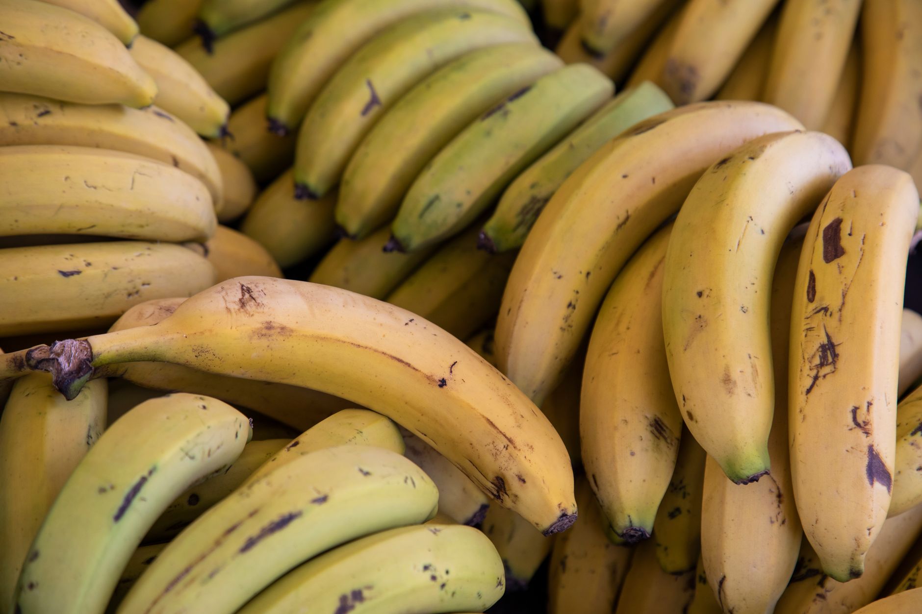 Regime Com Banana