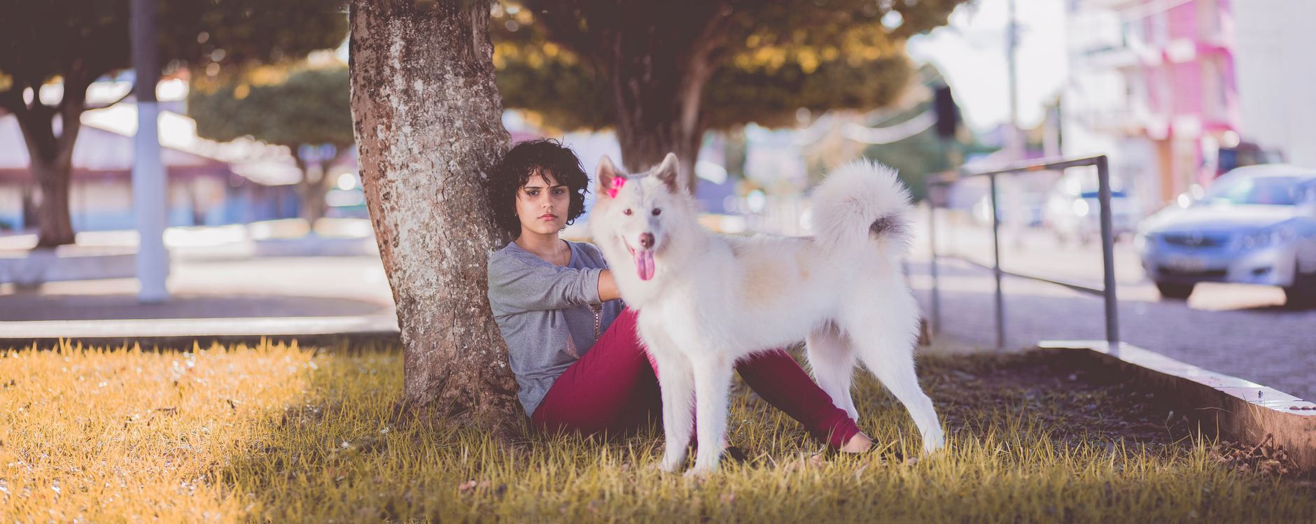 Mundo Pet & Vet - Tudo Sobre Pet e Mundo Veterinário