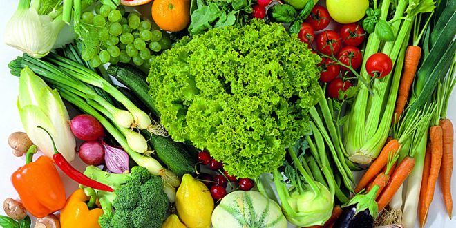 Quais são os Alimentos Vegetais? | Mundo Ecologia
