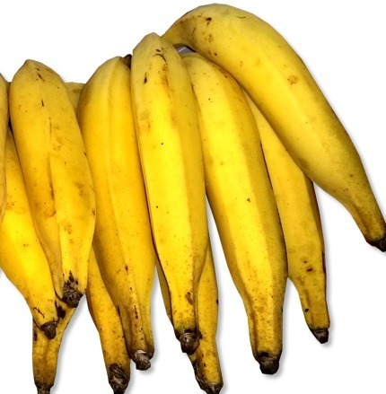 Tudo Sobre Banana da Terra