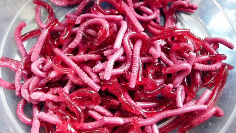 Curiosidades das Minhocas
