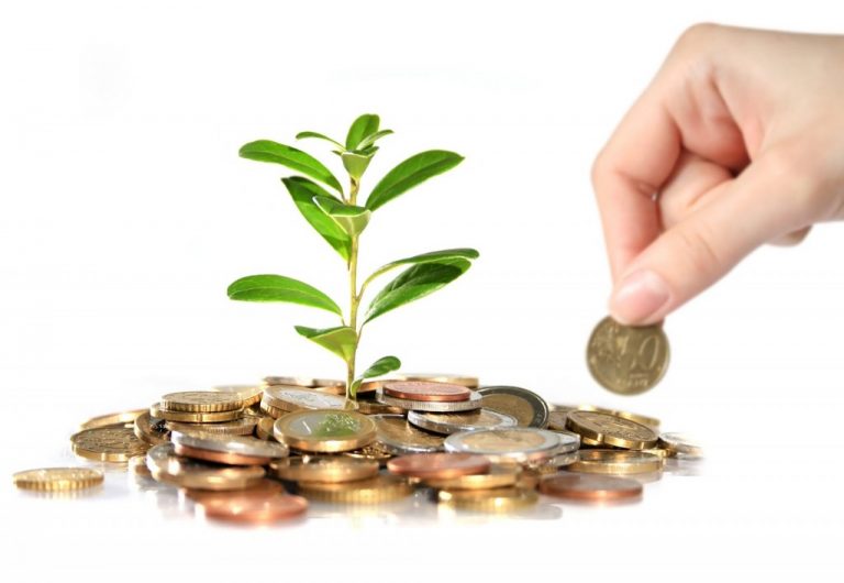 Economia Ecológica