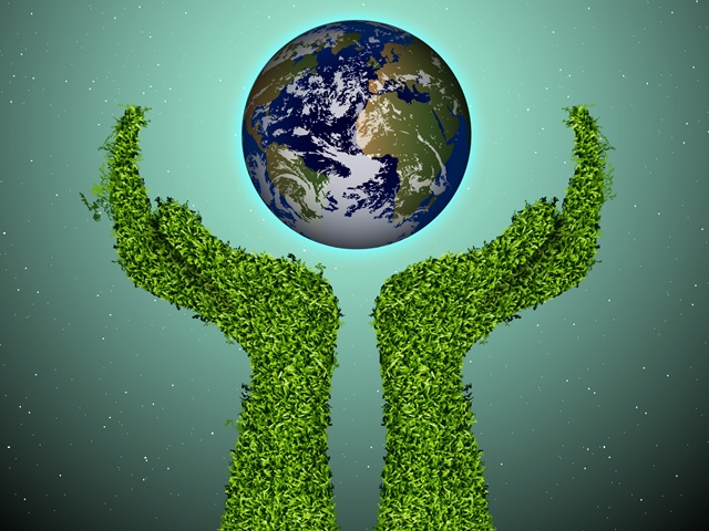 Diferença Entre Ecologia e Meio Ambiente