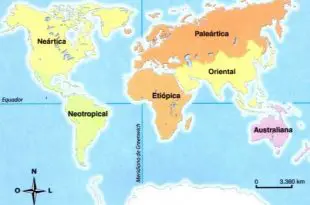 Regiões Biogeográficas