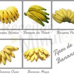 Tipos de Banana