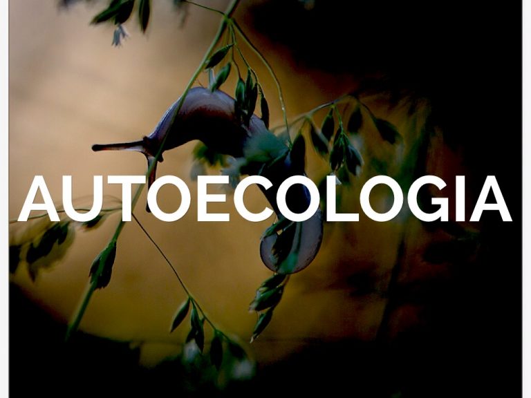 Autoecologia - Conceitos