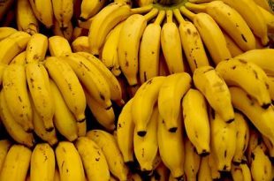 Cachos de Banana Prata