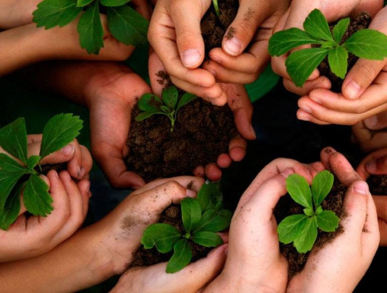 Ecologia e o Ser humano