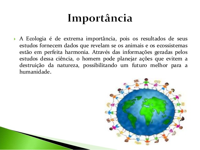 Qual a Importância da Ecologia no Mundo Atual? | Mundo Ecologia