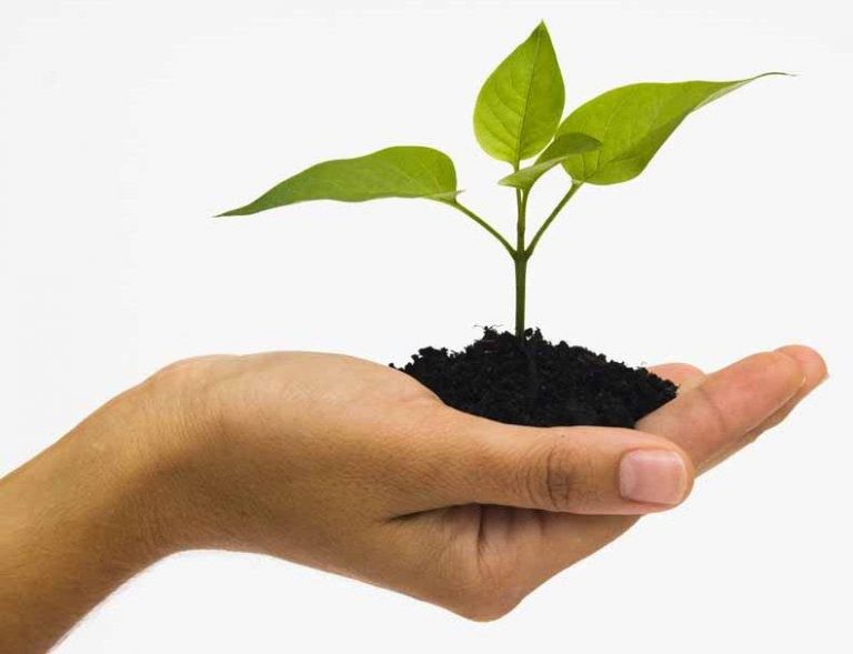 Fundamentos de Ecologia