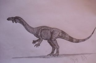 Glacialisaurus Hammeri