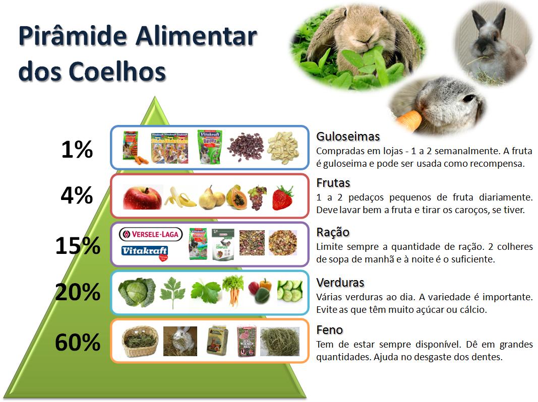 Coelho Pode Comer Capim? | Mundo Ecologia