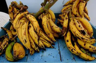 Banana Pacovan