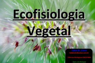 Ecofisiologia Vegetal