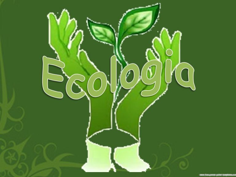 Ecologia